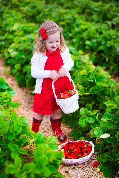 Mała dziewczynka, zbieranie truskawek w dziedzinie hodowli — Zdjęcie stockowe