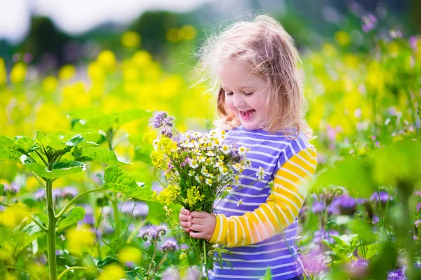 Little girl picking wild flowers in a field