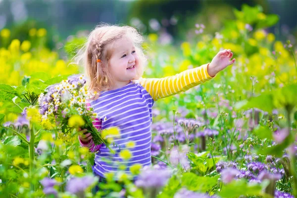Menina colhendo flores selvagens em um campo — Fotografia de Stock