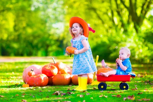 Kids playing at pumpkin patch — Stock Photo, Image