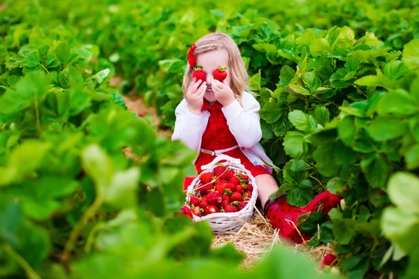 Little girl picking strawberry on a farm field — Stock Photo, Image