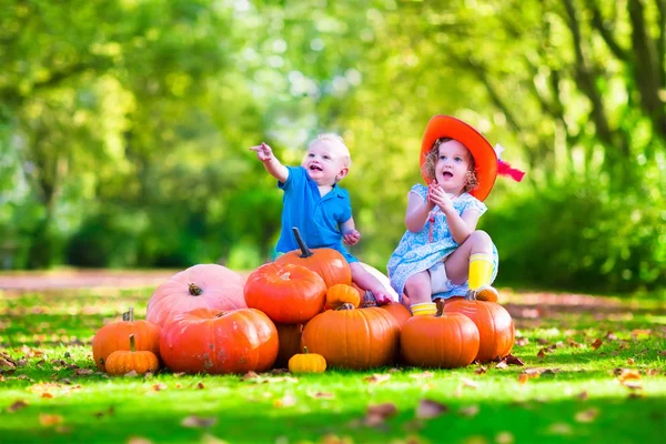 Kids playing at pumpkin patch — Stock fotografie