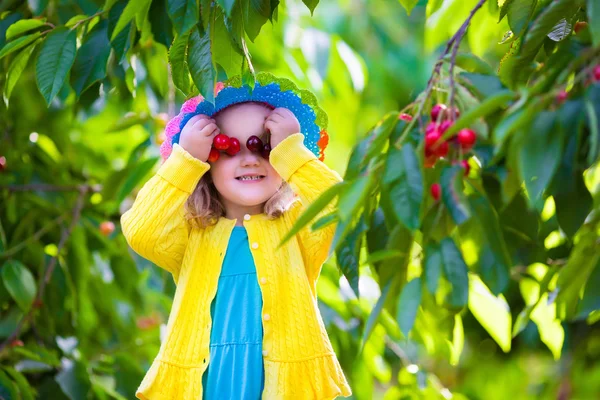 Little girl picking fresh cherry on a farm — Stock Photo, Image