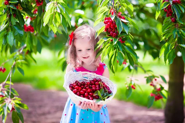 Liten flicka plocka färska körsbär bär i trädgården — Stockfoto