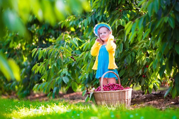 Niña recogiendo cereza fresca en una granja — Foto de Stock