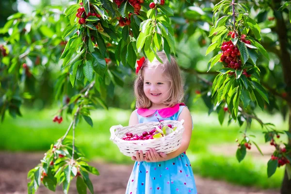 Ragazzina raccogliendo bacca di ciliegia fresca in giardino — Foto Stock