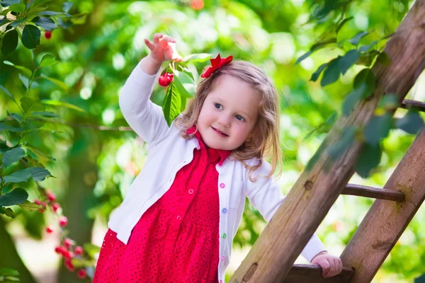 Little girl picking fresh cherry berry in the garden