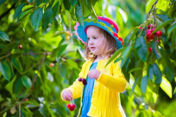 Niña recogiendo cereza fresca en una granja —  Fotos de Stock