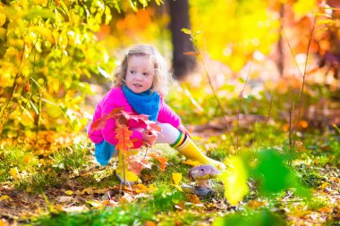 Little girl picking mushrooms in autumn forest