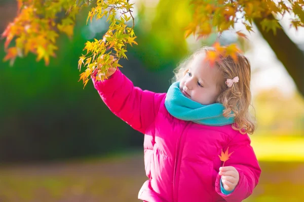 Klein meisje in de herfst park — Stockfoto