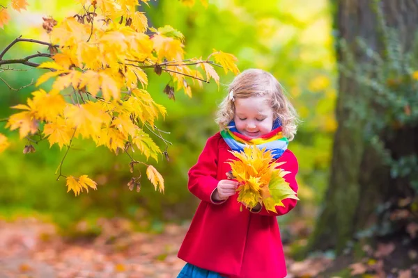 Bambina che gioca nel bellissimo parco autunnale — Foto Stock