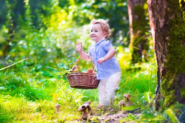 Little girl picking mushrooms in autumn park — Stock Photo, Image