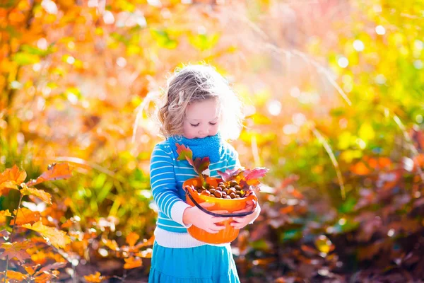 Kleines Mädchen pflückt Eicheln im Herbstpark — Stockfoto