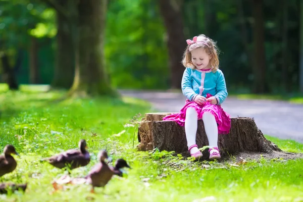 Little girl feeding ducks in a park — Zdjęcie stockowe