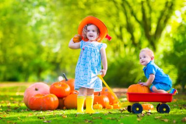 Kids at Halloween pumpkin patch