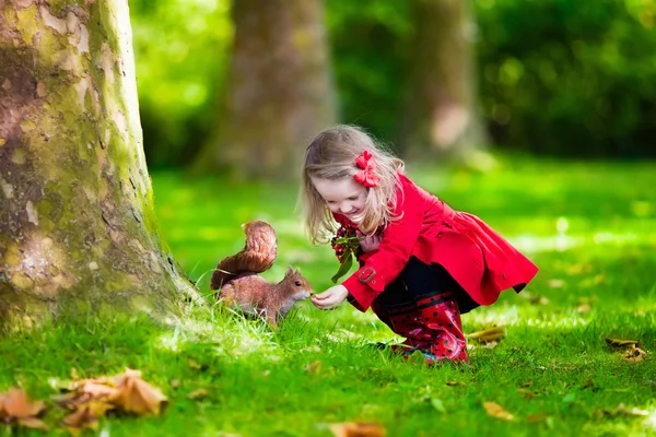 Little girl feeding a squirrel in autumn park — Stock Photo, Image