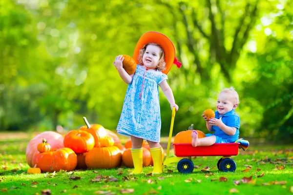 Kids at Halloween pumpkin patch — Stock fotografie