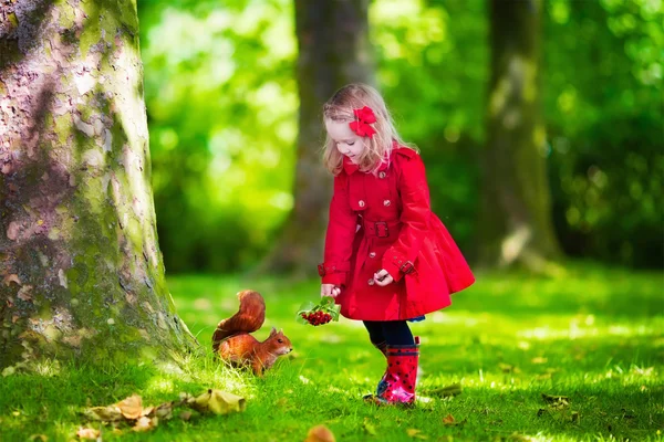 Little girl feeding a squirrel in autumn park — Stock Photo, Image