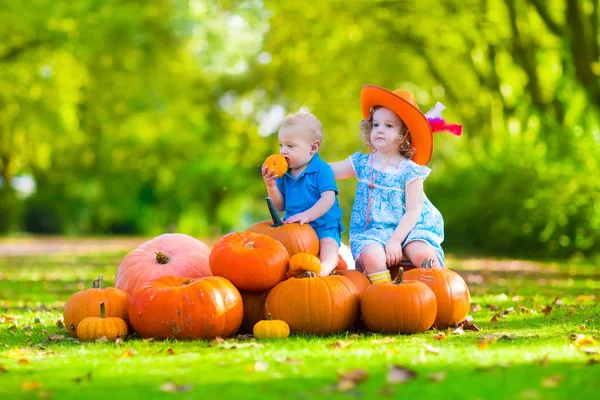 Kids at Halloween pumpkin patch — Stok fotoğraf