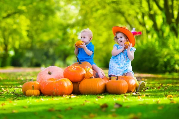 Niños en el parche de calabaza de Halloween —  Fotos de Stock