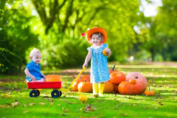 Niños en el parche de calabaza de Halloween — Foto de Stock