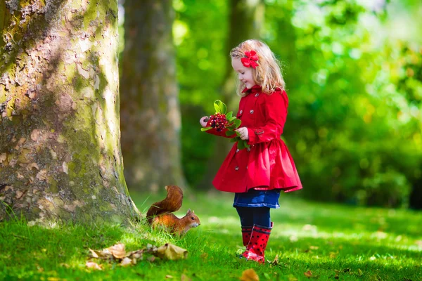 Liten flicka utfodring en ekorre i höst park — Stockfoto