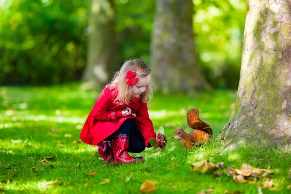 Mała dziewczynka karmienie wiewiórki w parku jesień — Zdjęcie stockowe