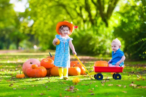 Crianças no patch de abóbora de Halloween — Fotografia de Stock