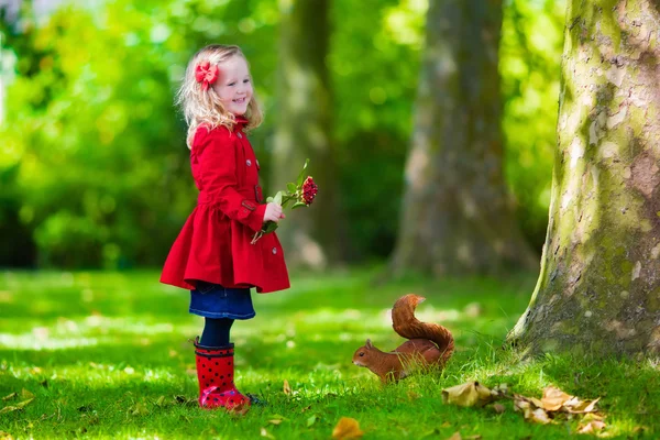 Menina alimentando um esquilo no parque de outono — Fotografia de Stock