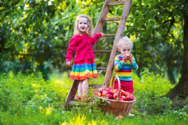 Meyve bahçesinde elma toplama çocuklar