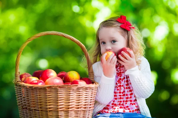 Little girl picking apples — Stock Photo, Image