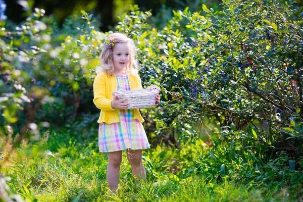 Little girl picking blueberry — Zdjęcie stockowe