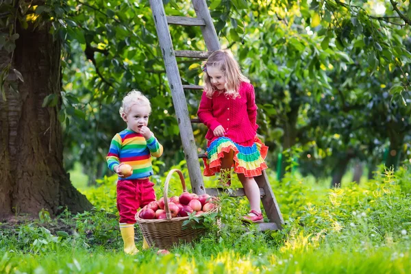 Crianças pegando maçãs no jardim de frutas — Fotografia de Stock