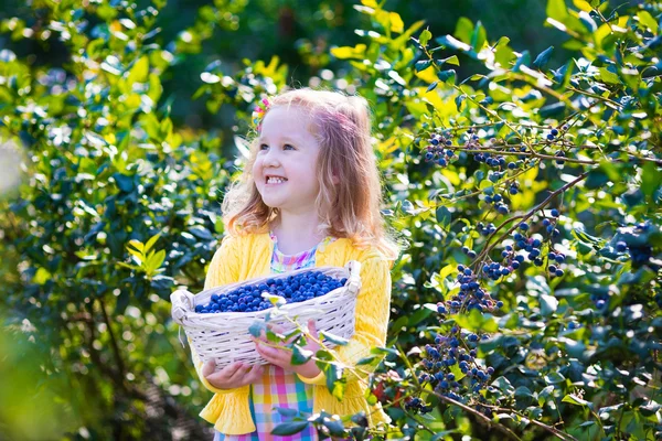 Little girl picking blueberry — Stok fotoğraf