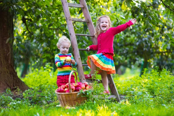 Niños recogiendo manzanas en el jardín de frutas —  Fotos de Stock