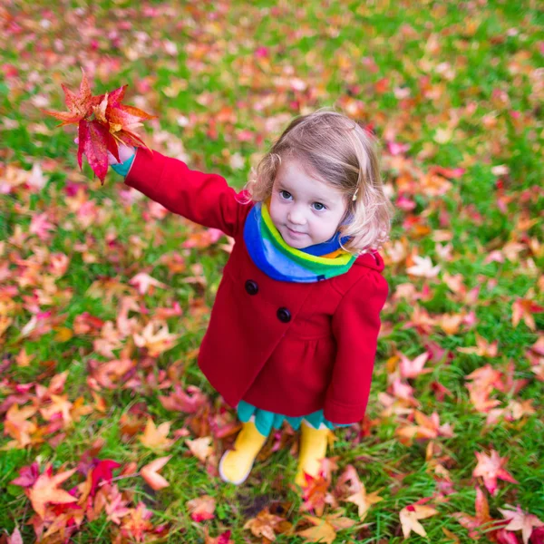 Sonbaharda akçaağaç yaprağı ile oynayan küçük kız — Stok fotoğraf