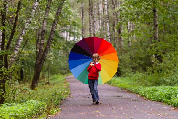 Little boy walking in a beautiful forest under a colorful umbrel — Stock Photo, Image