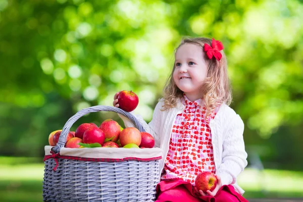 Mała dziewczynka zbieranie jabłek w sadzie owoce — Zdjęcie stockowe