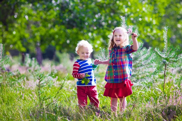 Niños jugando en el parque de otoño —  Fotos de Stock