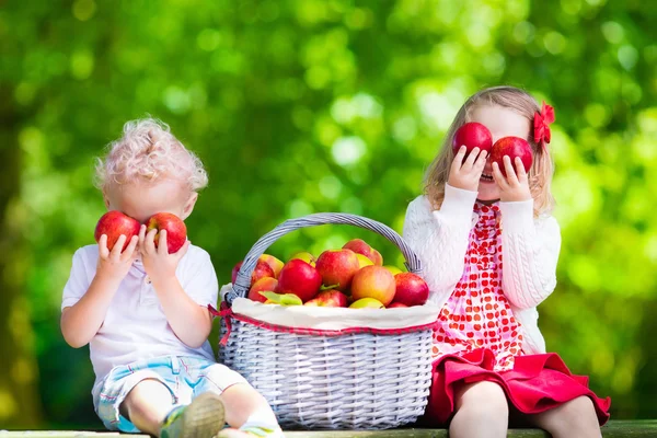 Anak-anak memetik apel segar — Stok Foto