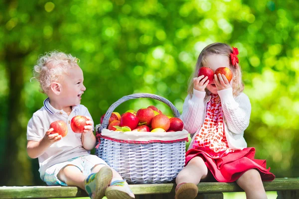 Τα παιδιά τα φρέσκα μήλα επιλογής — Φωτογραφία Αρχείου