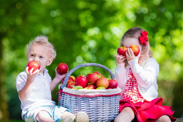 Enfants cueillant des pommes fraîches — Photo