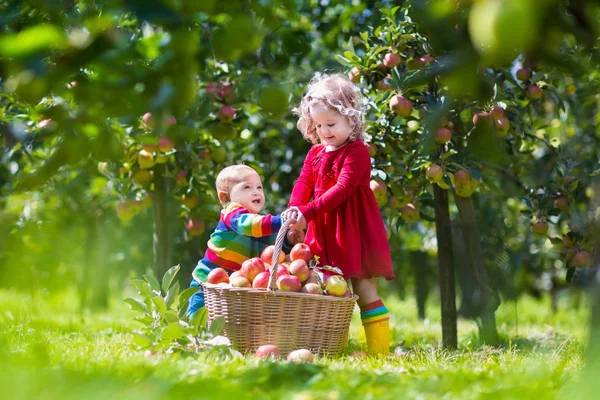 Kids playing in apple tree garden — Stock Photo, Image