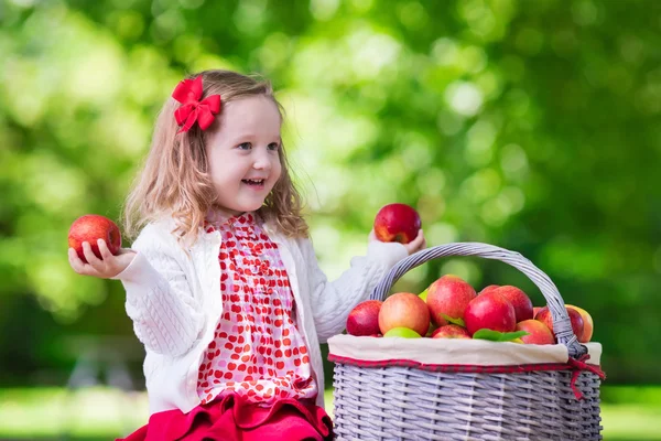 Little girl picking apples in fruit orchard — Stock Photo, Image