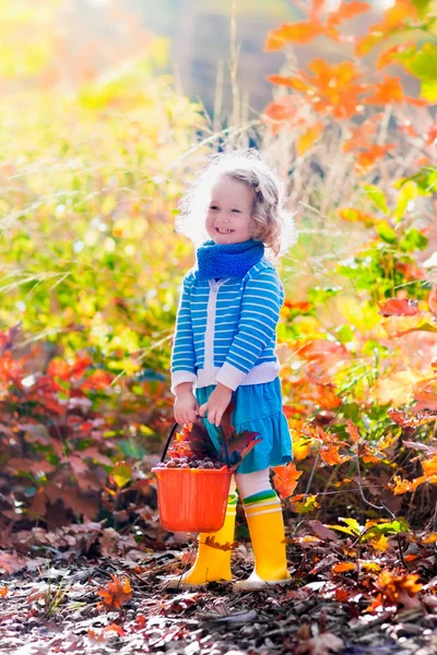 Petite fille cueillette glands dans le parc d'automne — Photo