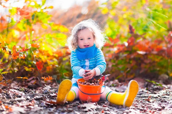 Kleines Mädchen pflückt Eicheln im Herbstpark — Stockfoto