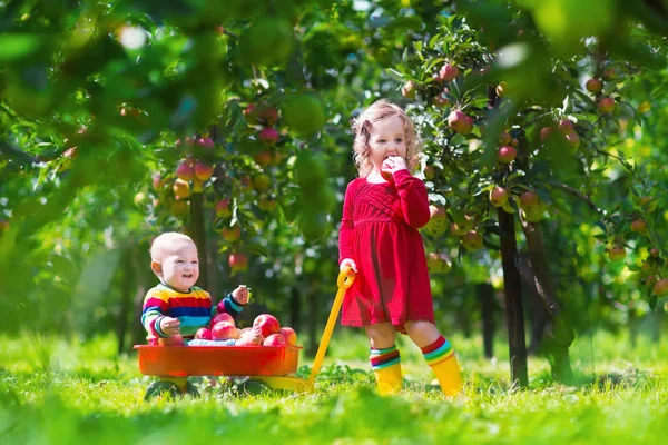 Kids playing in apple tree garden — Stock Photo, Image