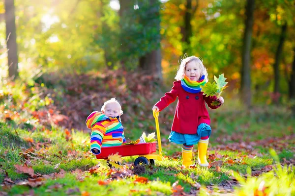 Barn som leker i höst park — Stockfoto