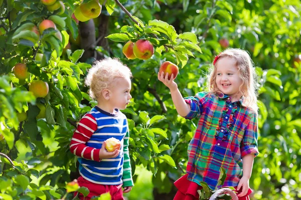 Anak-anak memetik apel segar dari pohon di kebun buah — Stok Foto