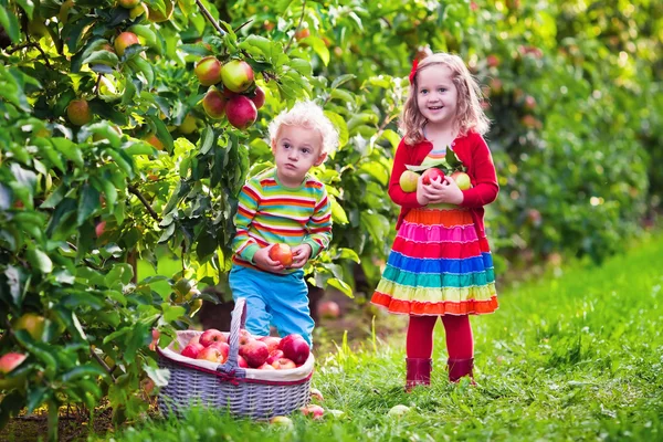 Kids picking fresh apples from tree in a fruit orchard — Zdjęcie stockowe